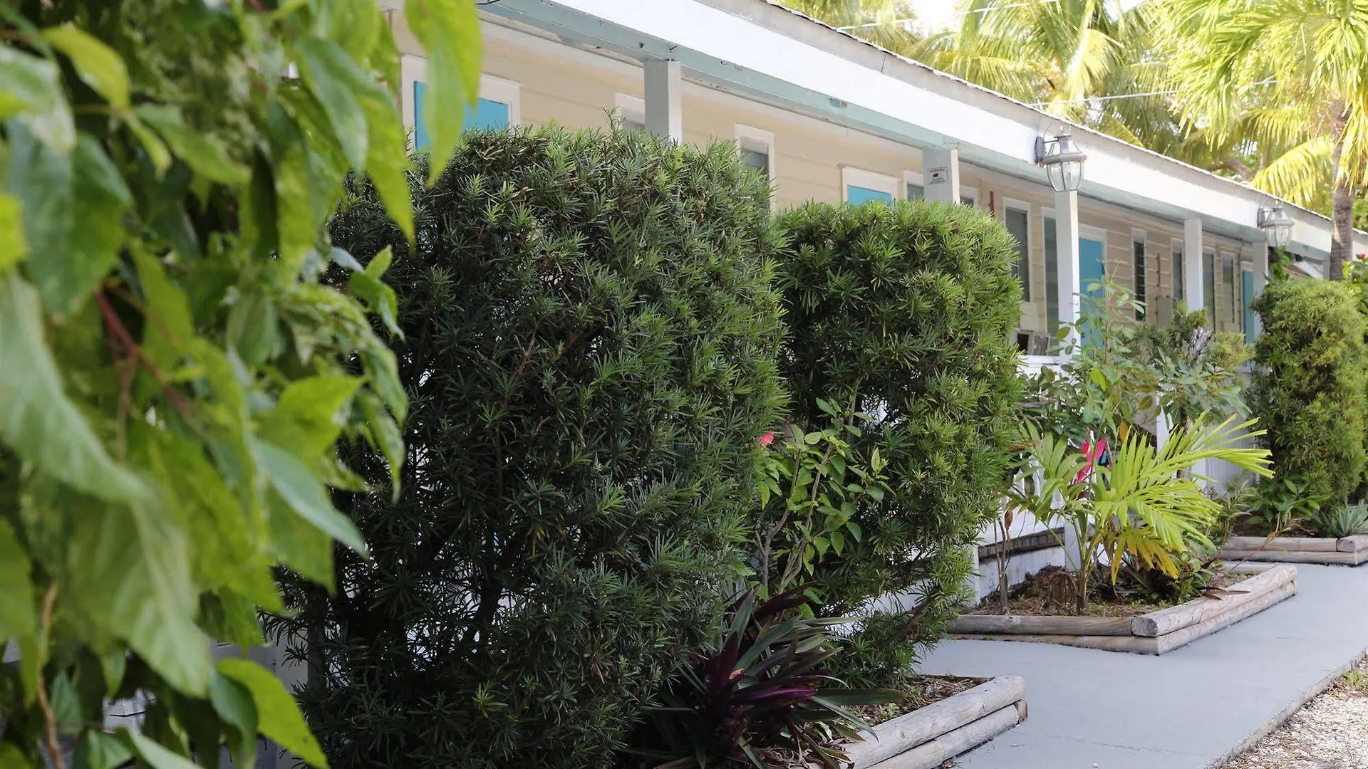 Seashell Motel And International Hostel Key West